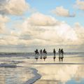 Bungalowpark Aan Noordzee