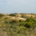 EuroParcs Noordwijkse Duinen