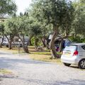 Camping Degli Ulivi