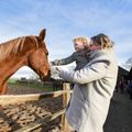 TopParken Résidence Lage Vuursche