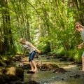 Landal Nature Parc Saint Hubert