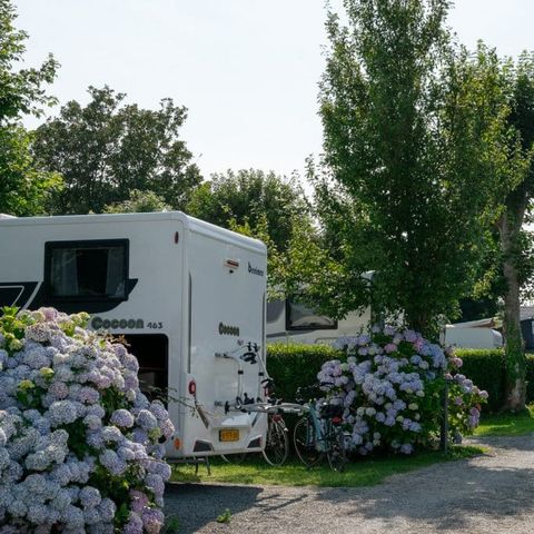 Camping Abijune - Camping Seine-Maritime - Image N°5