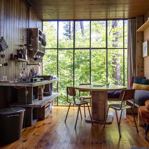 UNUSUAL ACCOMMODATION 5 people - Tiny house Treetrunk with hot tub