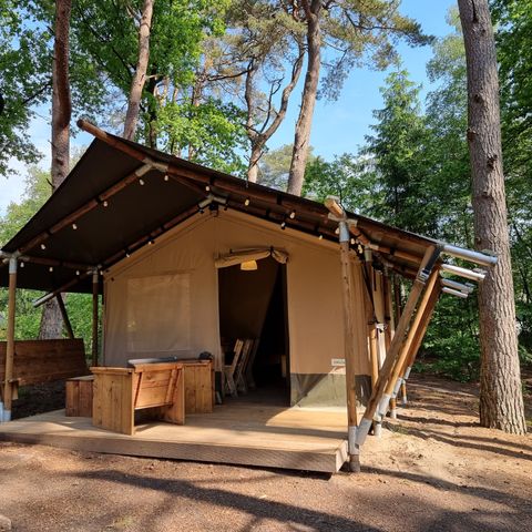 CANVAS AND WOOD TENT 4 people - Campsite 'de Val' - Safari tent 4 persons