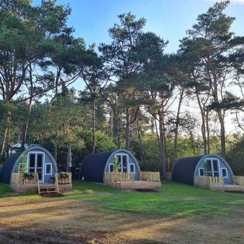 UNIEKE ACCOMMODATIE 2 personen - Tiny house Woodlodge