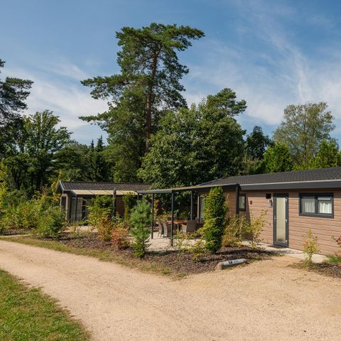 Lodge 5 personen - Veluwe