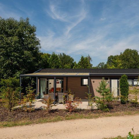 Lodge 5 personen - Veluwe