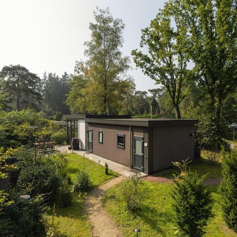 Lodge 6 personen - Heide