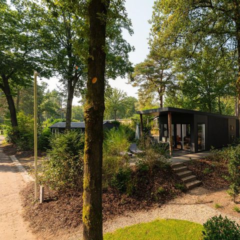 Chalet 6 personen - Zand Lodge Comfort