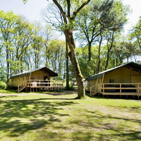 Lodge 6 personen - Summer