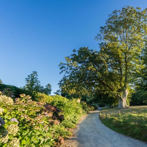 HOUSE 2 people - Maison du Bateau (private garden)