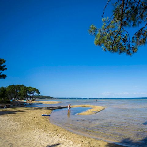 Camping Campéole Navarrosse Plage - Camping Landes