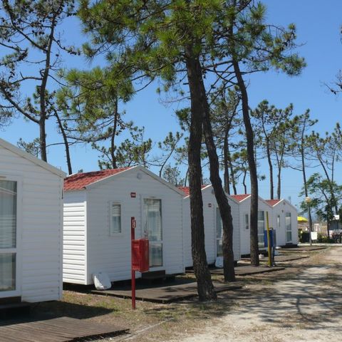 BUNGALOW 2 Personen - BOOGIE - ohne Sanitär