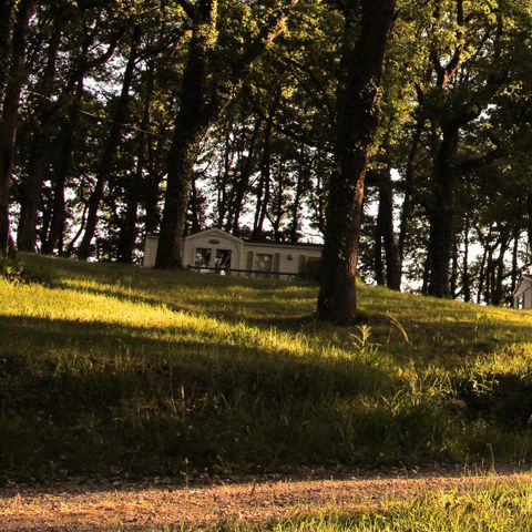 MOBILHEIM 4 Personen - Natur 3 Zimmer