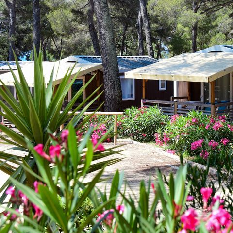 Camping Yelloh Village la Plage du Dramont - Camping Var - Image N°5