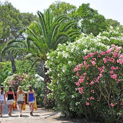 Camping Yelloh Village la Plage du Dramont - Camping Var - Image N°4