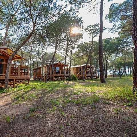 Camping La Tamarissière - Camping Hérault - Image N°3