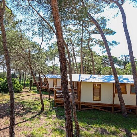 Camping La Tamarissière - Camping Hérault - Afbeelding N°4