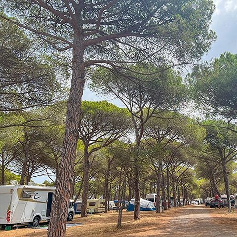 Camping La Tamarissière - Camping Hérault - Afbeelding N°5