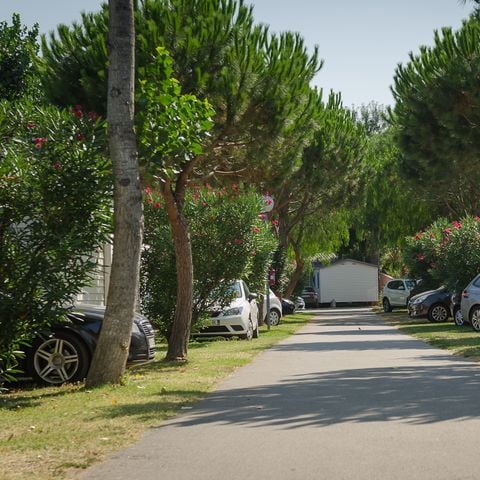 Camping la Plage Argelès - Camping Pyrénées-Orientales - Image N°4