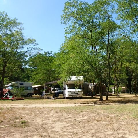 STAANPLAATS - CYCLING SITE 1 persoon + 1 kleine tent + 1 fiets, geen elektriciteit, geen auto