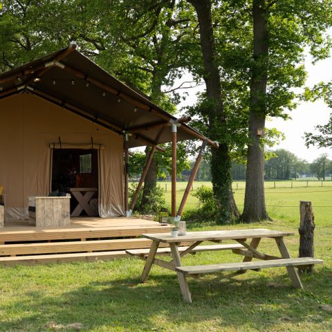 TENTE TOILE ET BOIS 7 personnes - tente safari de luxe