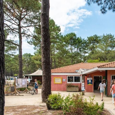 Camping Campéole Le Vivier - Camping Landas - Image N°3