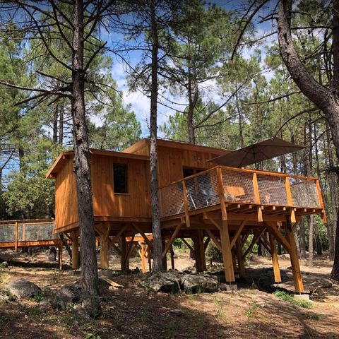 HÉBERGEMENT INSOLITE 4 personnes - CABANE PERCHEE ROBINSON 2 chambres sans sanitaires