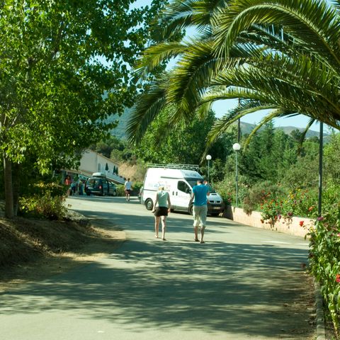 Camping La Liscia  - Camping Zuid-corsica - Afbeelding N°5