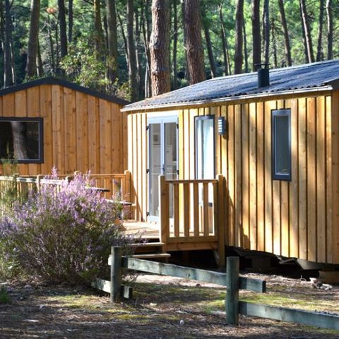 MOBILHOME 6 personas - COTTAGE PREMIUM 2ch