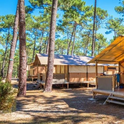 TENTE TOILE ET BOIS 6 personnes - LODGE  sans sanitaires