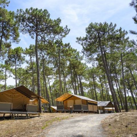 TENDA IN TELA E LEGNO 5 persone - ALLOGGIO senza servizi igienici 5p