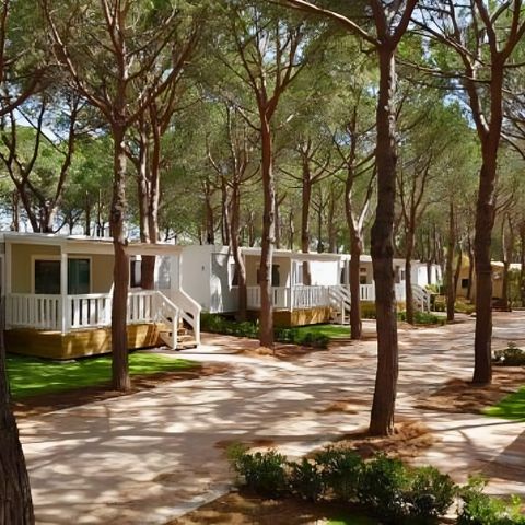 LODGE 4 persone - Loggia Comfort Maremma