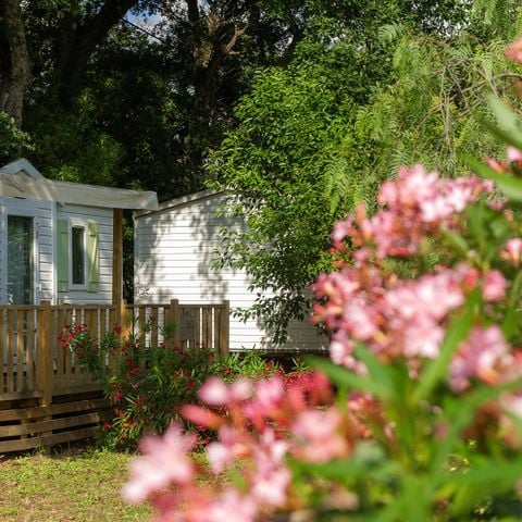 Stacaravan 6 personen - Klassiek | 3 Slaapkamers | 6 Pers. | Verhoogd terras