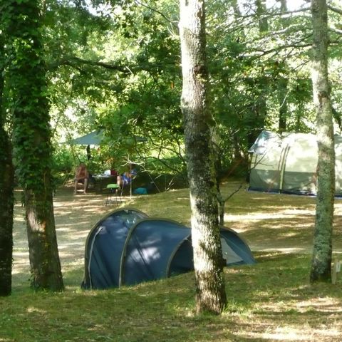 PARZELLE - Tagespauschale Camping