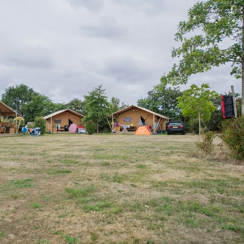 CANVAS AND WOOD TENT 6 people - Seagull safari tent