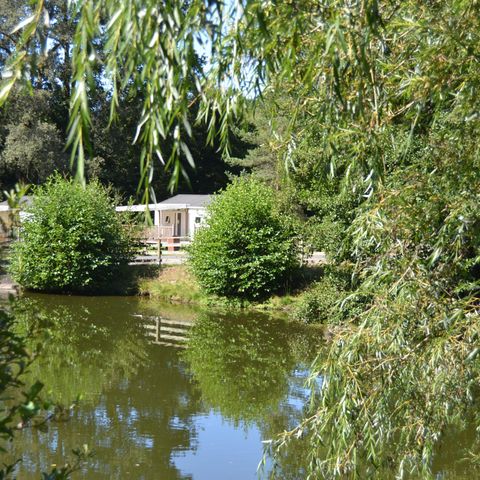 Camping Au Bois de Calais - Camping Corrèze - Afbeelding N°5