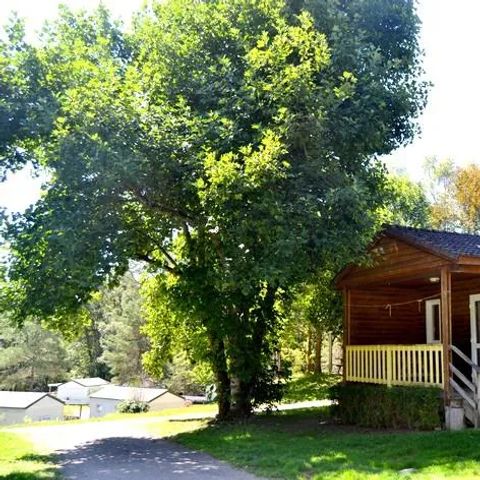 CHALET 4 personnes - Arbre / dimanche-dimanche /