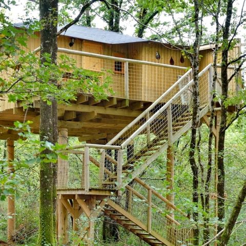 HÉBERGEMENT INSOLITE 6 personnes - MAISON DANS LES BRANCHES