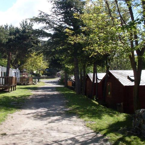 Camping Les Jardins d'Estavar - Camping Pyrénées-Orientales - Image N°5