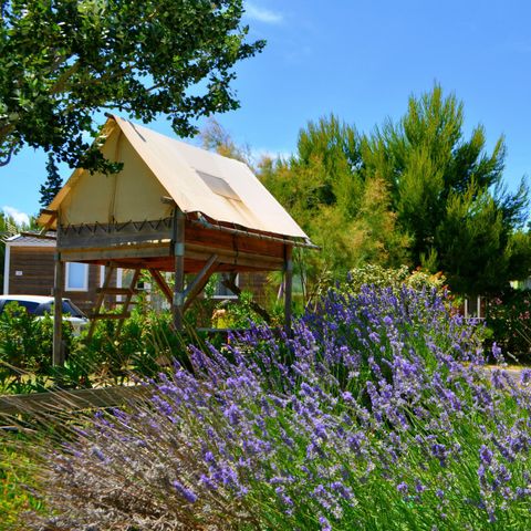 TENDA IN TELA E LEGNO 2 persone - Bivacco sotto le stelle