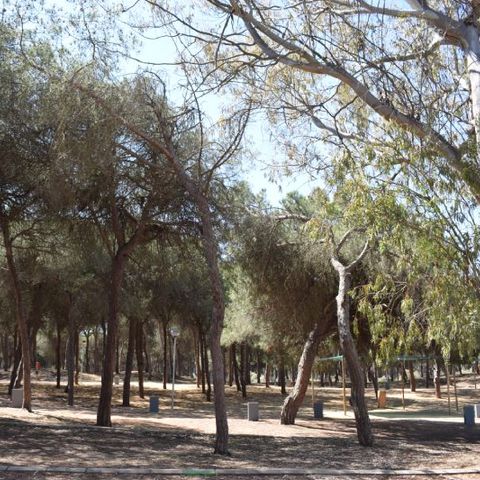 PIAZZOLA - Parcela Estandar per camper con oscuramento naturale