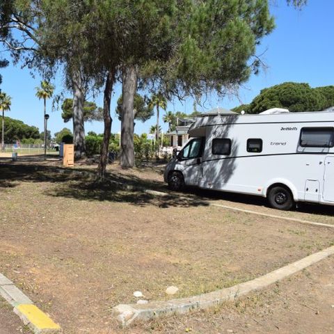 PARCELA - Parcela Estandar para caravanas sin sombra