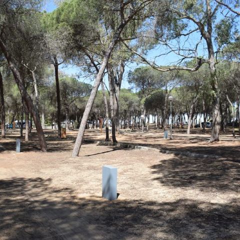 PIAZZOLA - Parcela Estandar per autocaravanas sin sombra