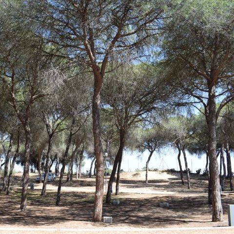 PIAZZOLA - Parcela plus per caravan con ombra naturale