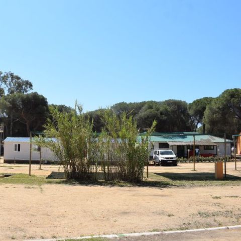 PARZELLE - Parcela plus para autocaravanas sin sombra