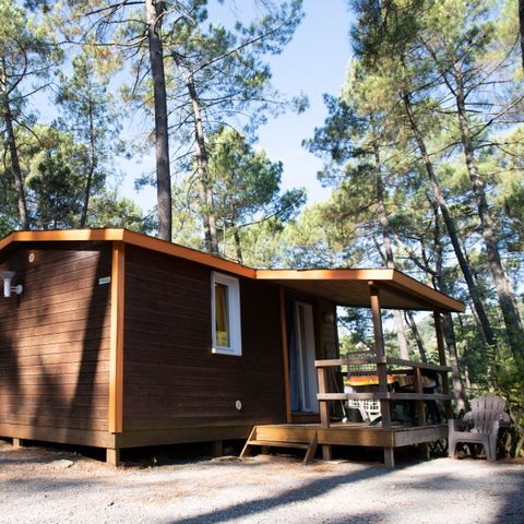 CHALET 5 Personen - BRUYERE