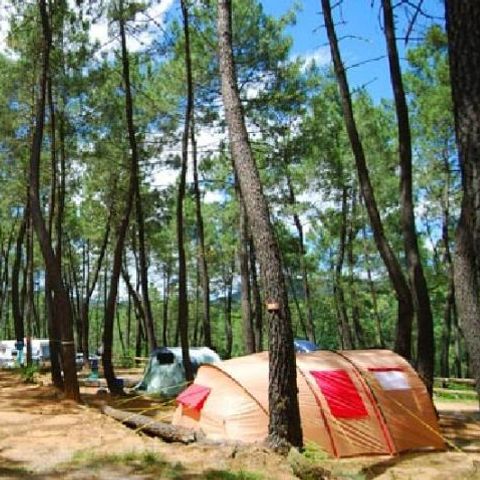 PARZELLE - Stellplatz auf einem Campingplatz