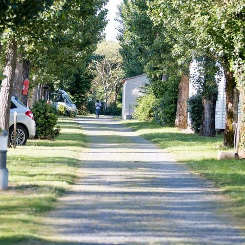 EMPLACEMENT - Forfait Confort (1 tente, caravane ou camping-car / 1 voiture / électricité )