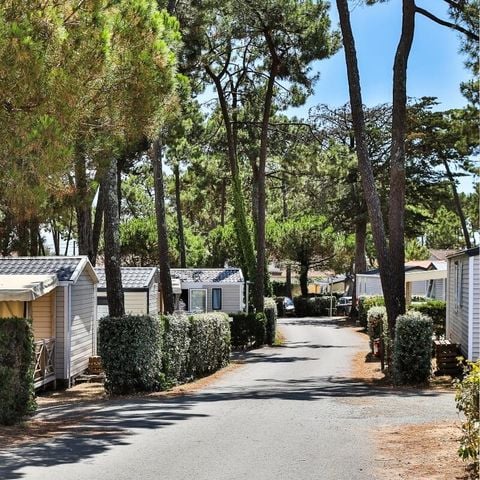 Camping maeva Club Les Préveils - Camping Vandea